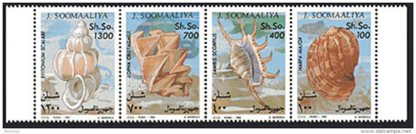 Somalia, 1994, Shells, Sea Life, Marine Life, MNH Strip, Michel 507-510 - Somalie (1960-...)
