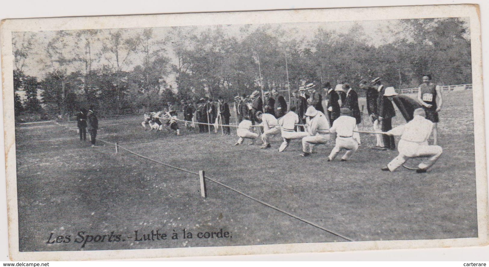 Carte Photo,les Sports Perdus,lutte à La Corde,en Compétition, - Wrestling