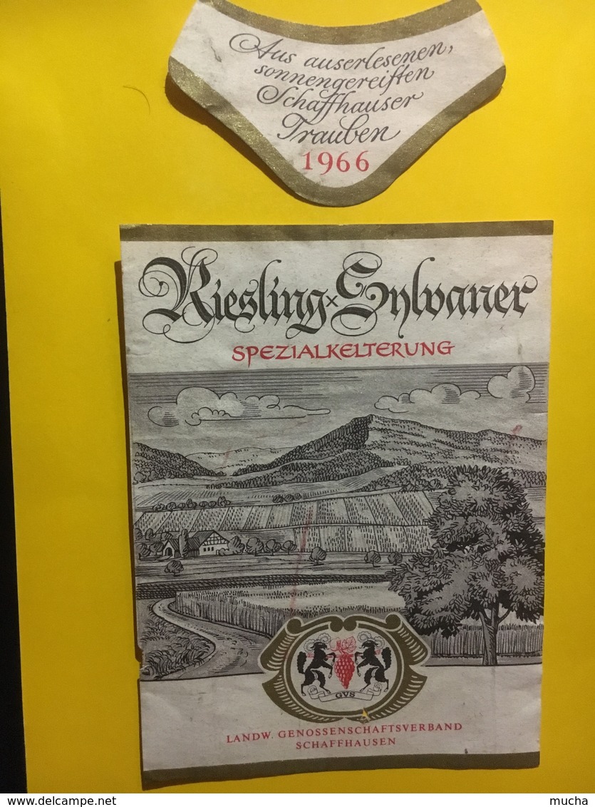 7968 - Riesling X Sylvaner 1966 Schaffhouse Suisse - Autres & Non Classés