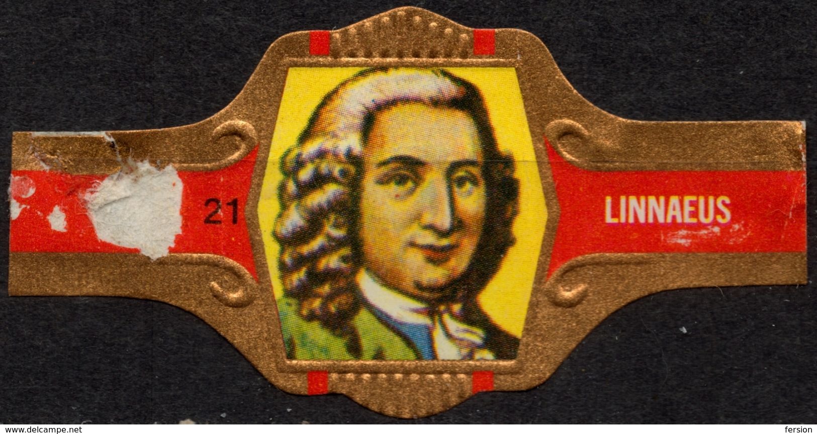Netherlands / Linnaeus - CIGAR Label Vignette - Etiketten