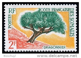Côte Française Des Somalis, 1962, Tree, MNH, Michel 336 - French Somali Coast - Altri & Non Classificati