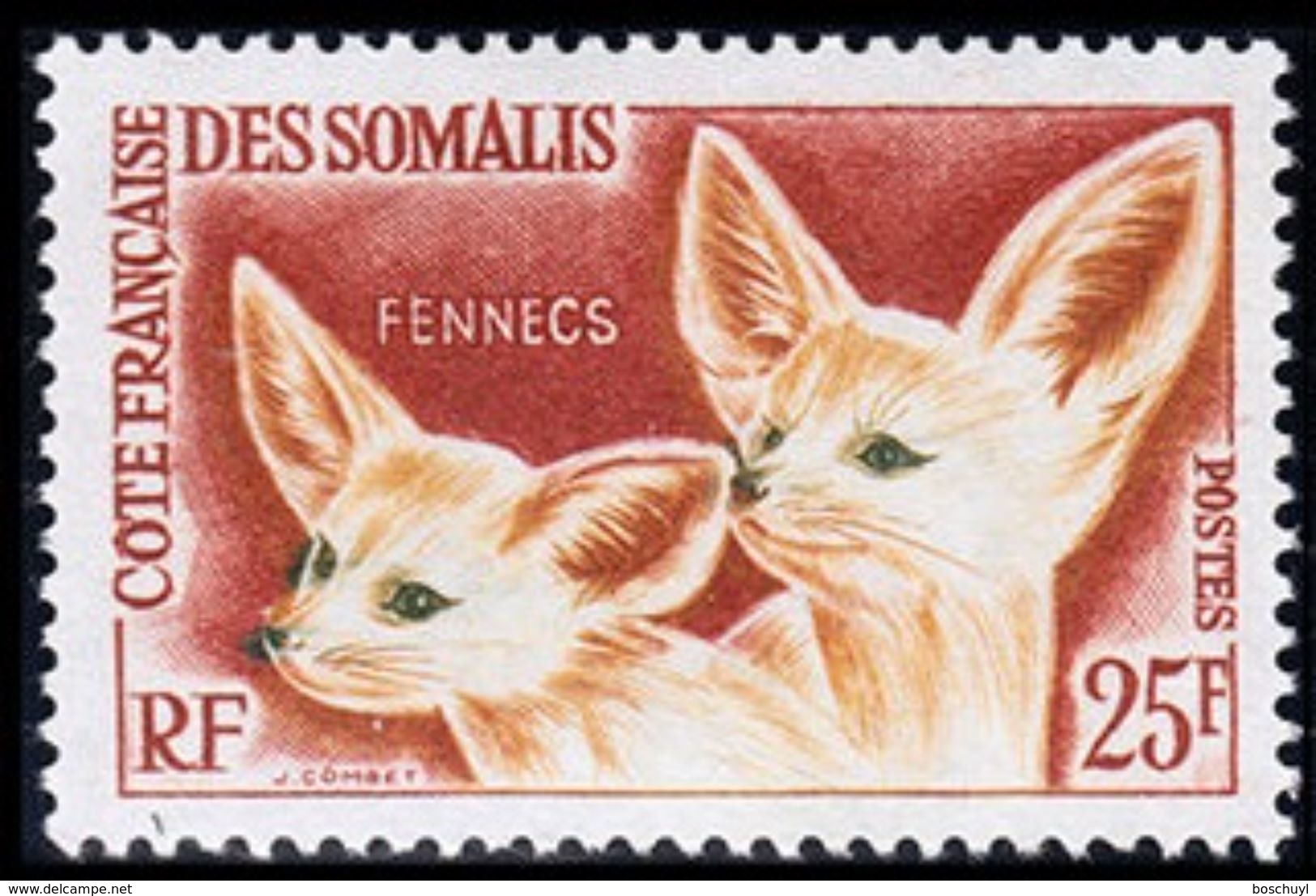 Côte Française Des Somalis, 1962, Fox, Fennec, MNH, Michel 339 - French Somali Coast - Other & Unclassified