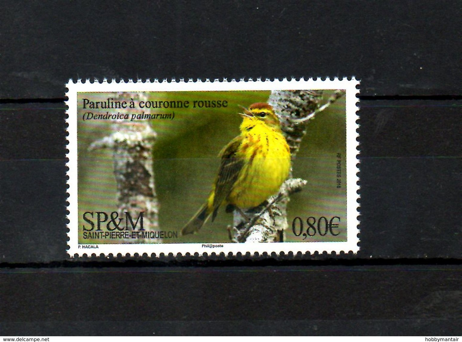 SPM, 2018,  BIRD, 1v.MNH** - Autres & Non Classés