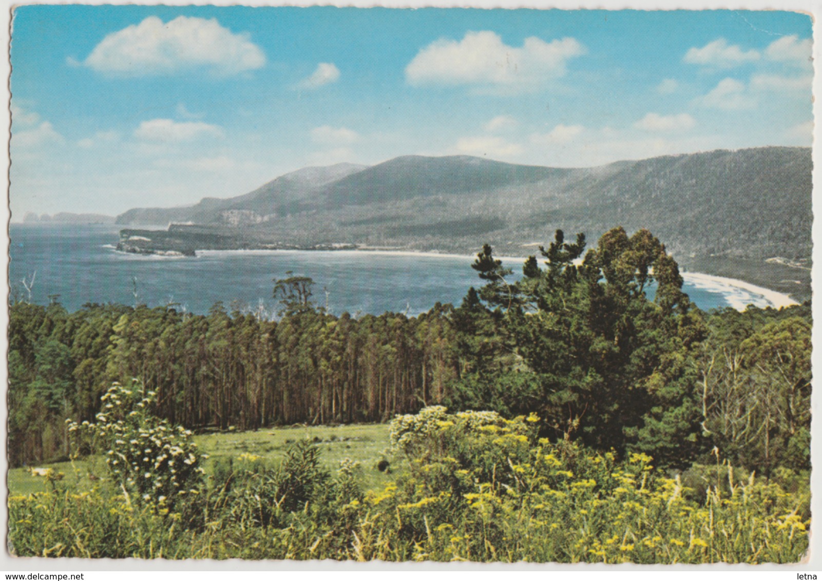 Australia TASMANIA EAGLEHAWK NECK Panoramic View ENGELANDER Krüger 798/8 Postcard C1960s - Port Arthur