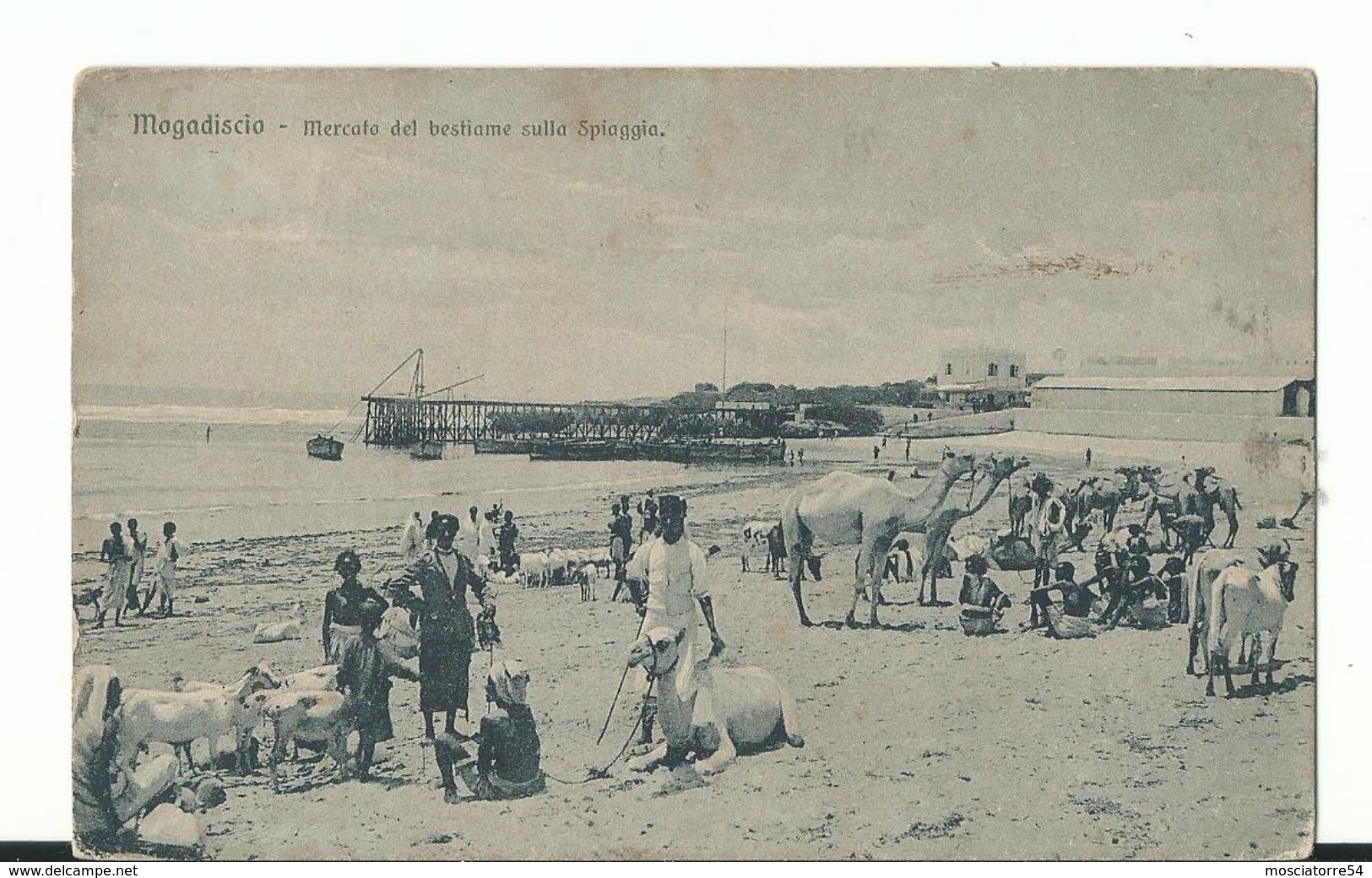 Mogadiscio - Mercato Del Bestiame Sulla Spiaggia - Viagg 1917 Da Mogadiscio A Makallè - Somalia