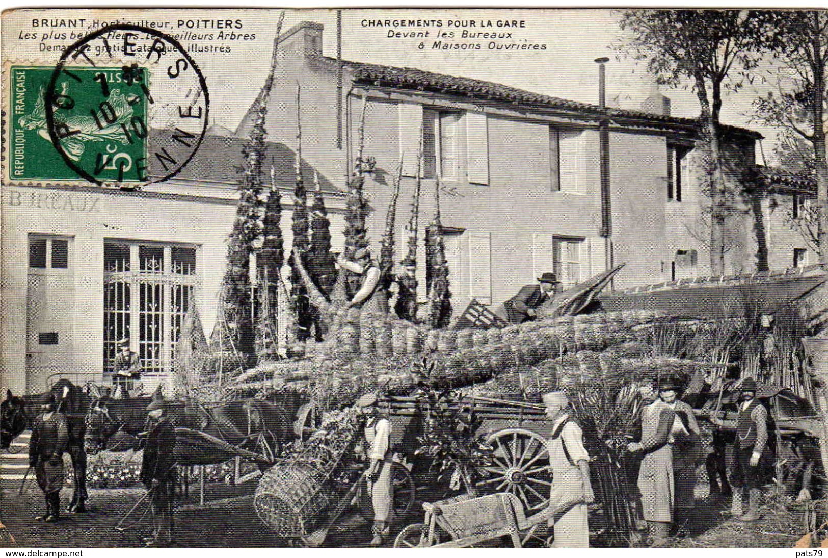 POITIERS  .. BRUANT  "HORTICULTEUR"  Les Plus Beaux Arbres ;;;;;;;;;;;;;;;;( Défauts Des 2 Angles Bas) - Poitiers