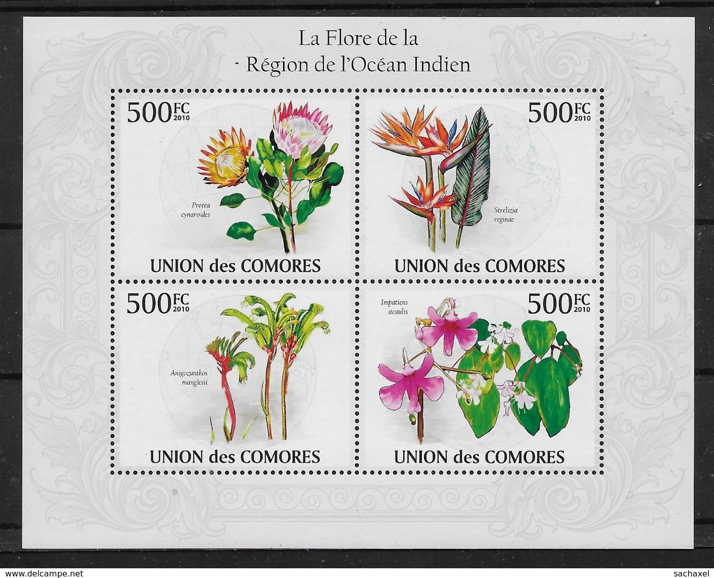 2009 Union Des Comores N°  Nf** MNH  1 Bloc  Feuillet . Flore De La Région De L'Océan Indien. Impatiens... - Dolfijnen