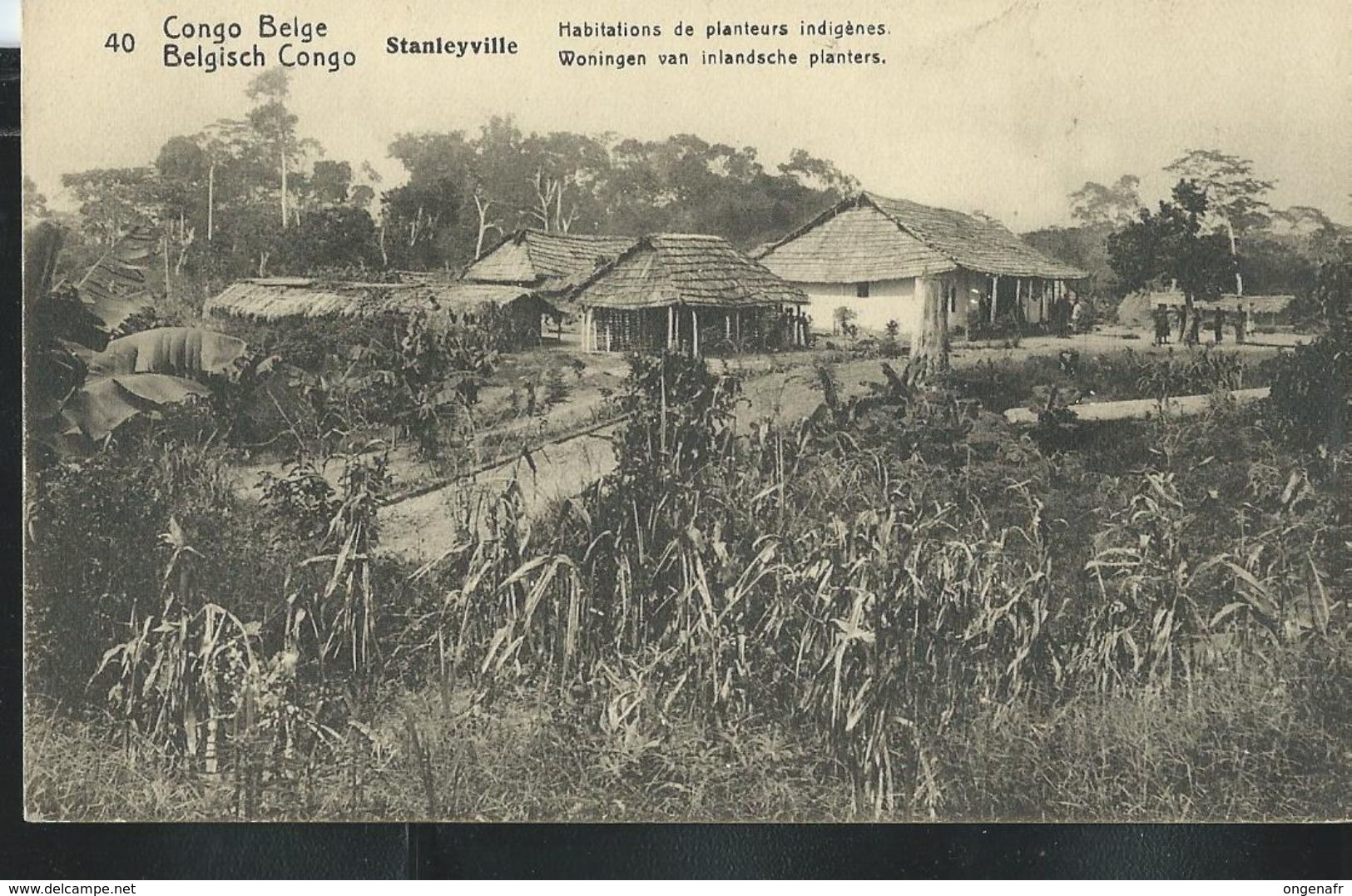 Carte N° 43. Vue: 40. Stanleyville: Habitations De Planteurs Indigènes  (carte Neuve) - Entiers Postaux