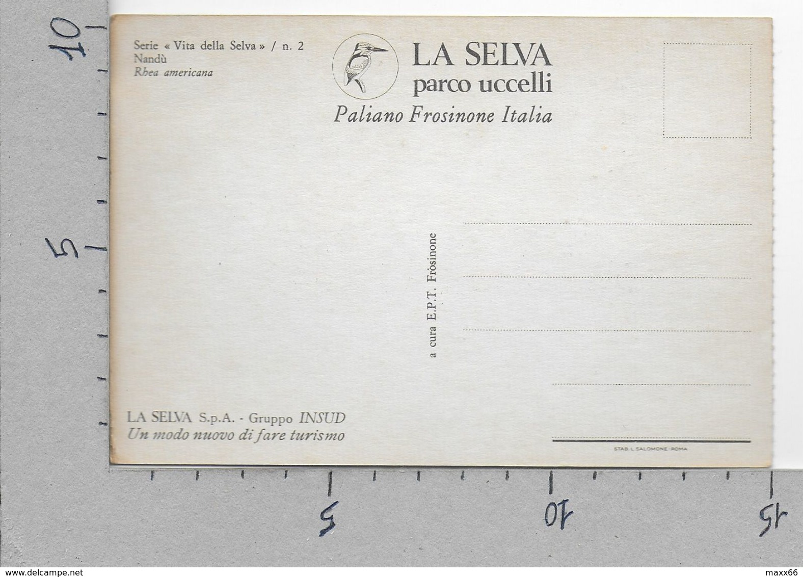 CARTOLINA NV ITALIA - PALIANO (FR) - La Selva Parco Uccelli - Nandù - Rhea Americana - 10 X 15 - Frosinone