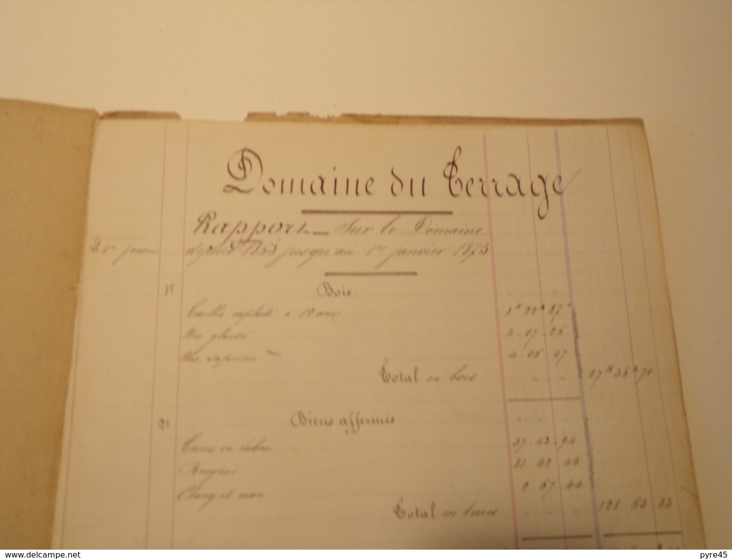 RAPPORT DOMAINE DU TERRAGE DU 1 JANVIER 1875 - Manuscrits