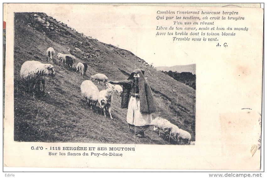 ***  63  ***  BERGERE ET SES MOUTONS  Sur Les Flancs Du PUY De DÔME - TB - Autres & Non Classés