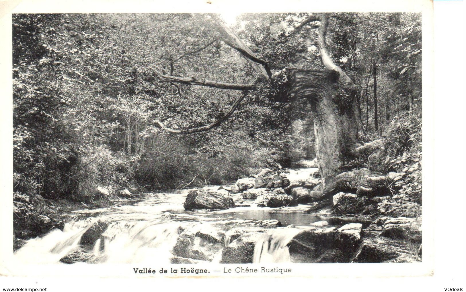 Spa - CPA - Vallée De La Hoëgne - Le Chêne Rustique - Spa