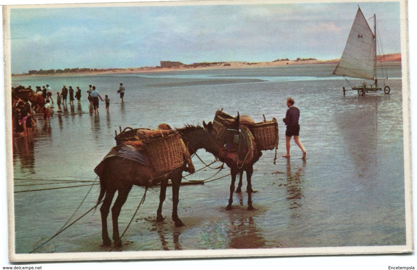 CPA - Carte Postale - Belgique - De Panne - Scène De Plage (CPV567) - De Panne