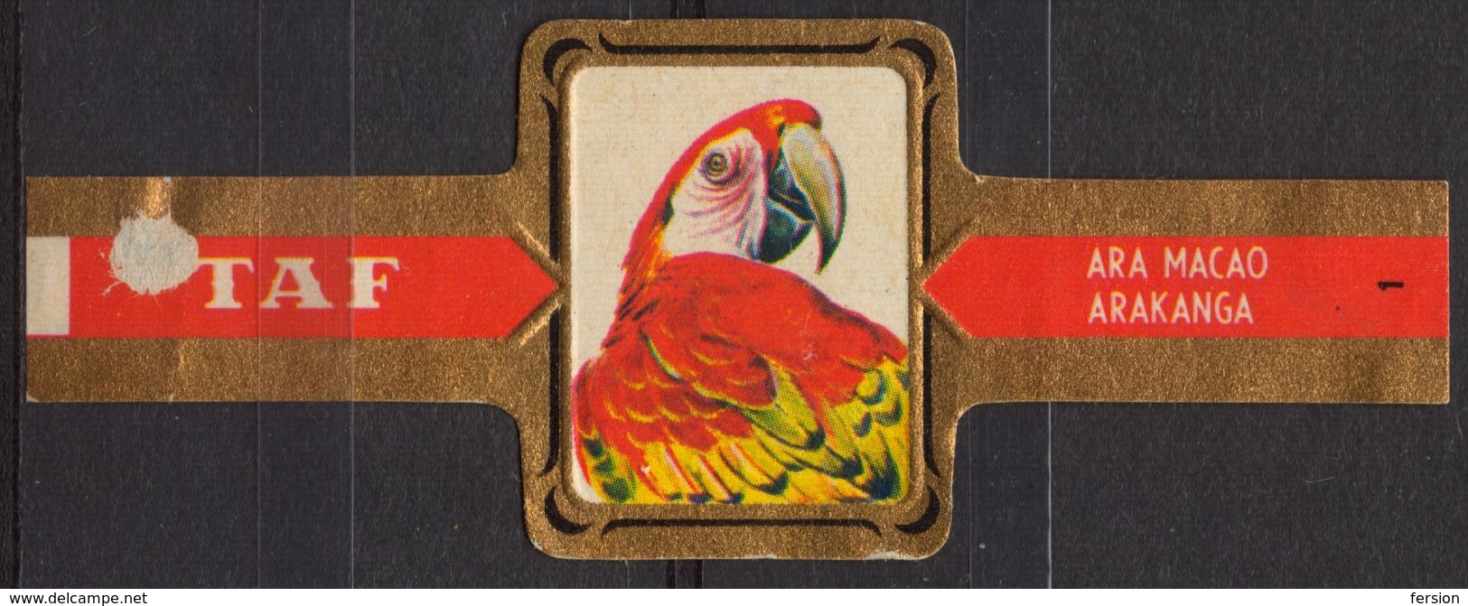 Arakanga Parrot  - Bird Birds - Belgium Belgique - TAF - CIGAR CIGARS Label Vignette - Labels