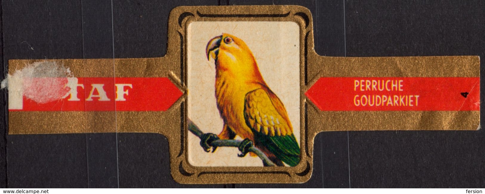 Gold Parakeet / Goudparkiet PARROT - Bird Birds - Belgium Belgique - TAF - CIGAR CIGARS Label Vignette - Labels