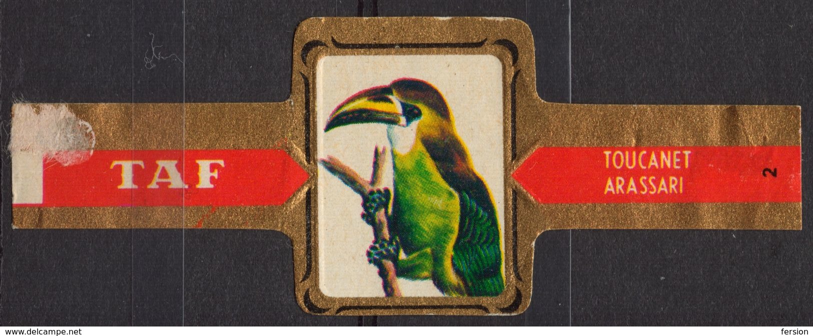 Toucanet / Arassari - Bird Birds - Belgium Belgique - TAF - CIGAR CIGARS Label Vignette - Etiketten