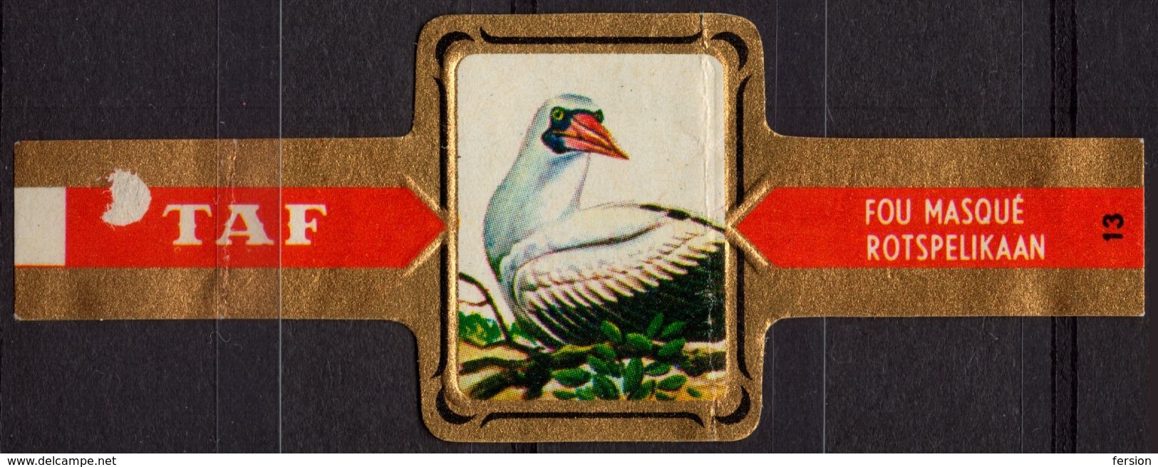 Pelikaan / Rotspelikaan - Bird Birds - Belgium Belgique - TAF - CIGAR CIGARS Label Vignette - Etiquetas