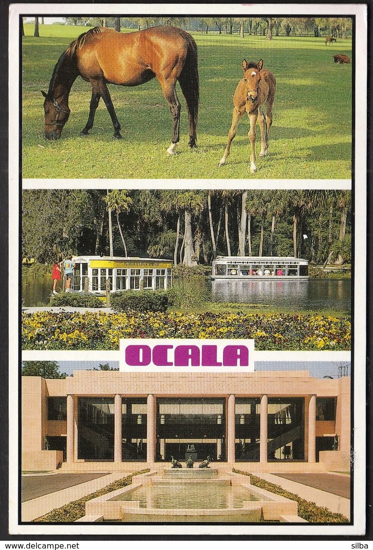United States Ocala 1991 / Florida / Horse Industry, Silver Springs And The Appleton Museum - Ocala