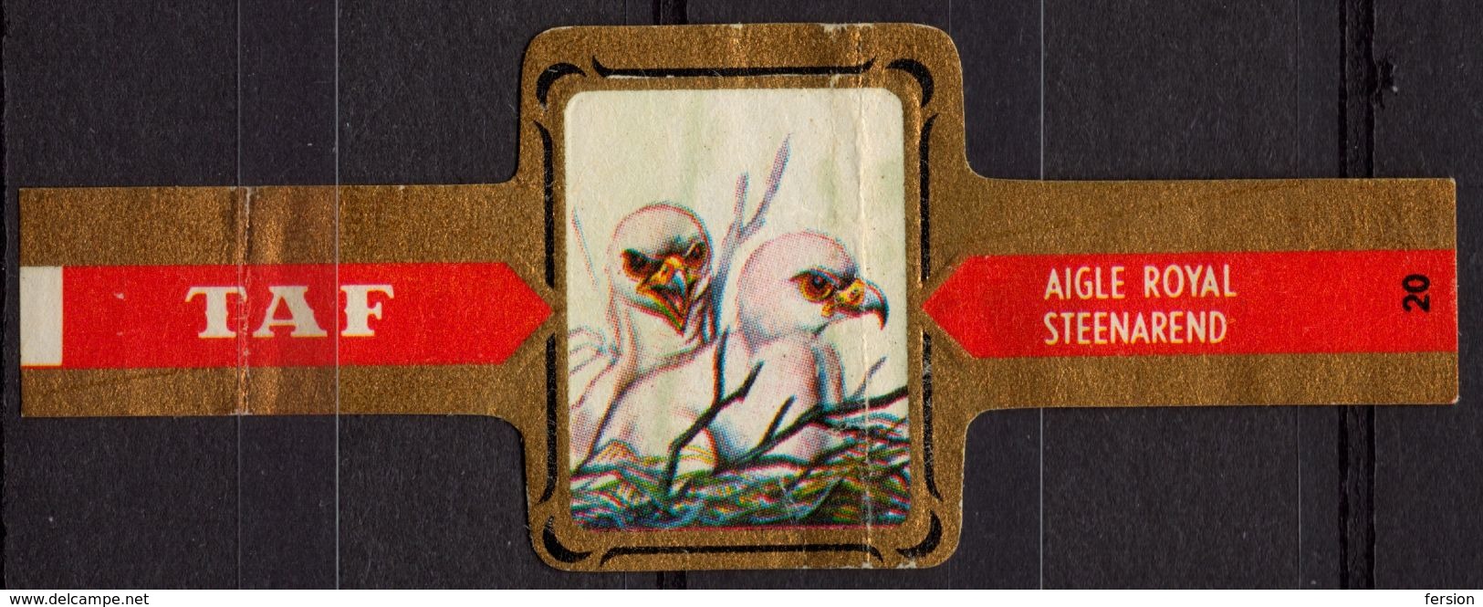 Golden Eagle / Steenarend - Bird Birds - Belgium Belgique - TAF - CIGAR CIGARS Label Vignette - Etiketten