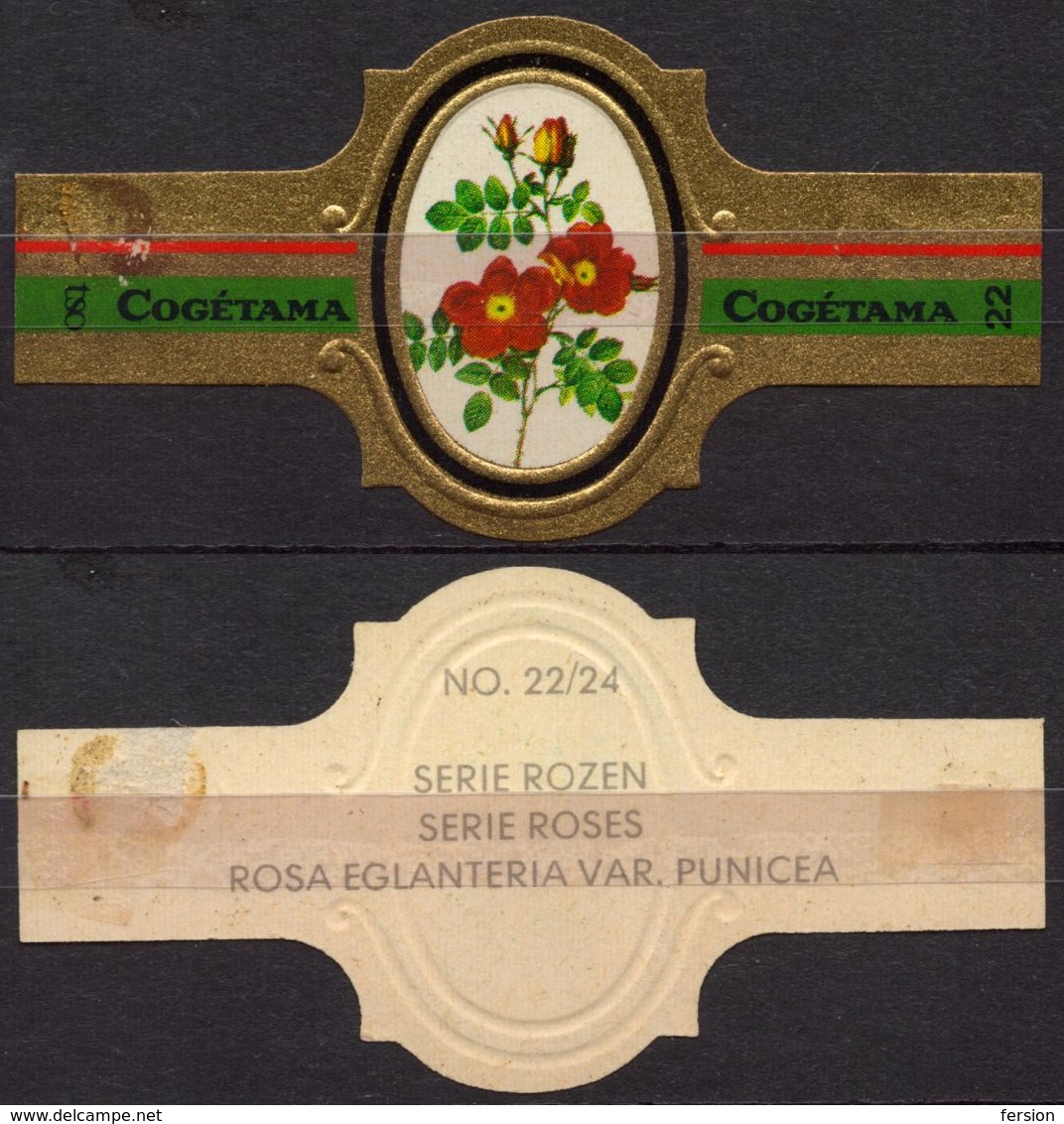 Eglanteria Punicea - ROSE ROSES - Netherlands Holland / Cogétama / CIGAR CIGARS Label Vignette - Labels