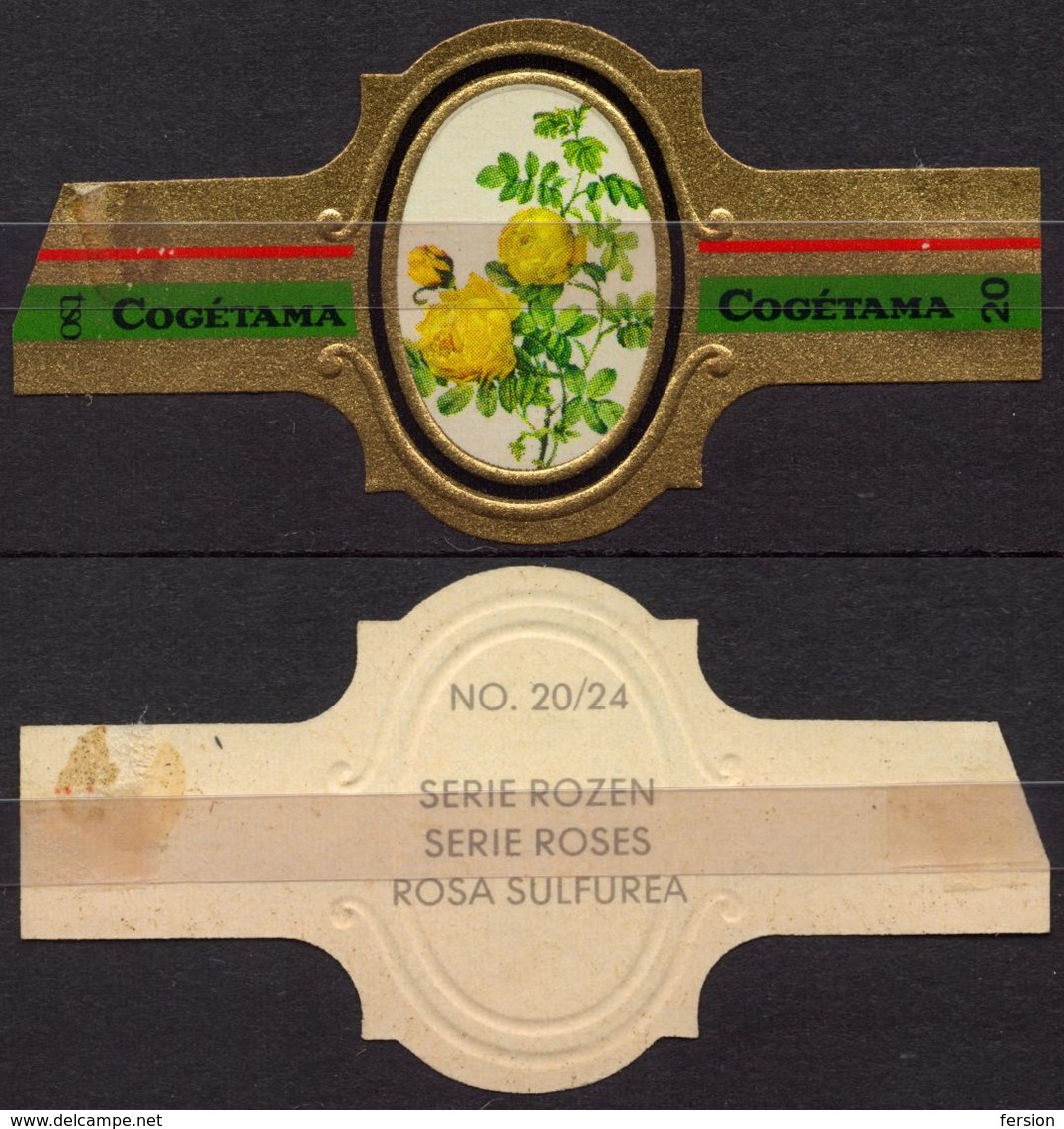 Sulfurea - ROSE ROSES - Netherlands Holland / Cogétama / CIGAR CIGARS Label Vignette - Etiquetas