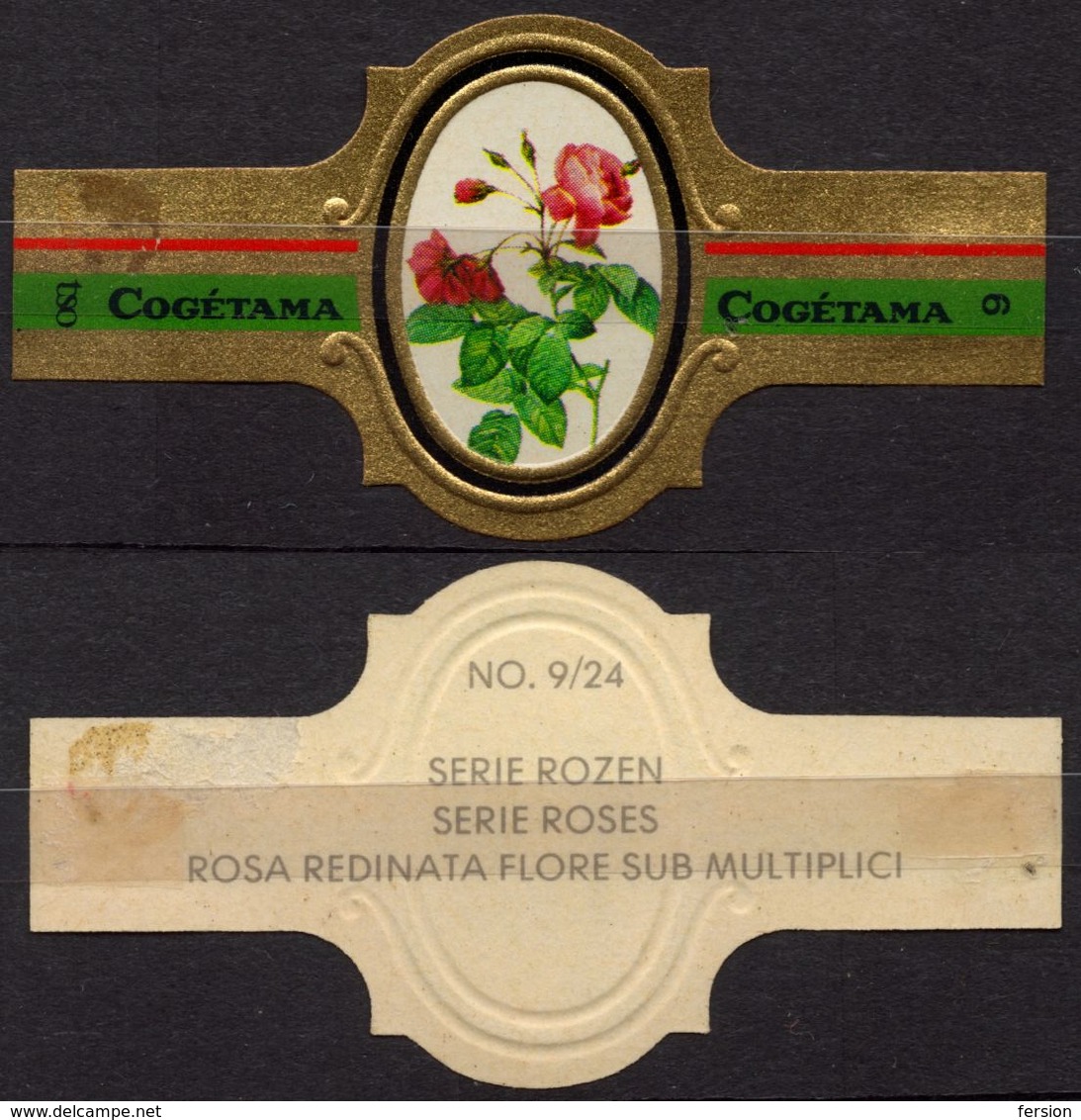Redinata Flore Sub Multiplici - ROSE ROSES - Netherlands Holland / Cogétama / CIGAR CIGARS Label Vignette - Etiquettes