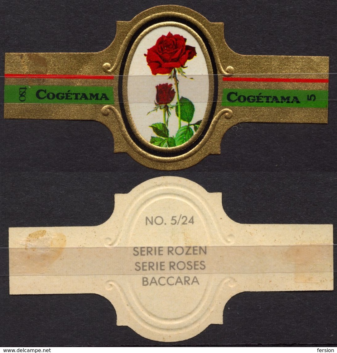 Baccara - ROSE ROSES - Netherlands Holland / Cogétama / CIGAR CIGARS Label Vignette - Etiquetas