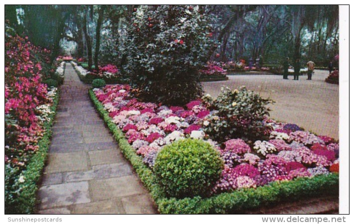 Alabama Mobile Camellia Lined Flagstone Walk Bellingrath Gardens - Mobile