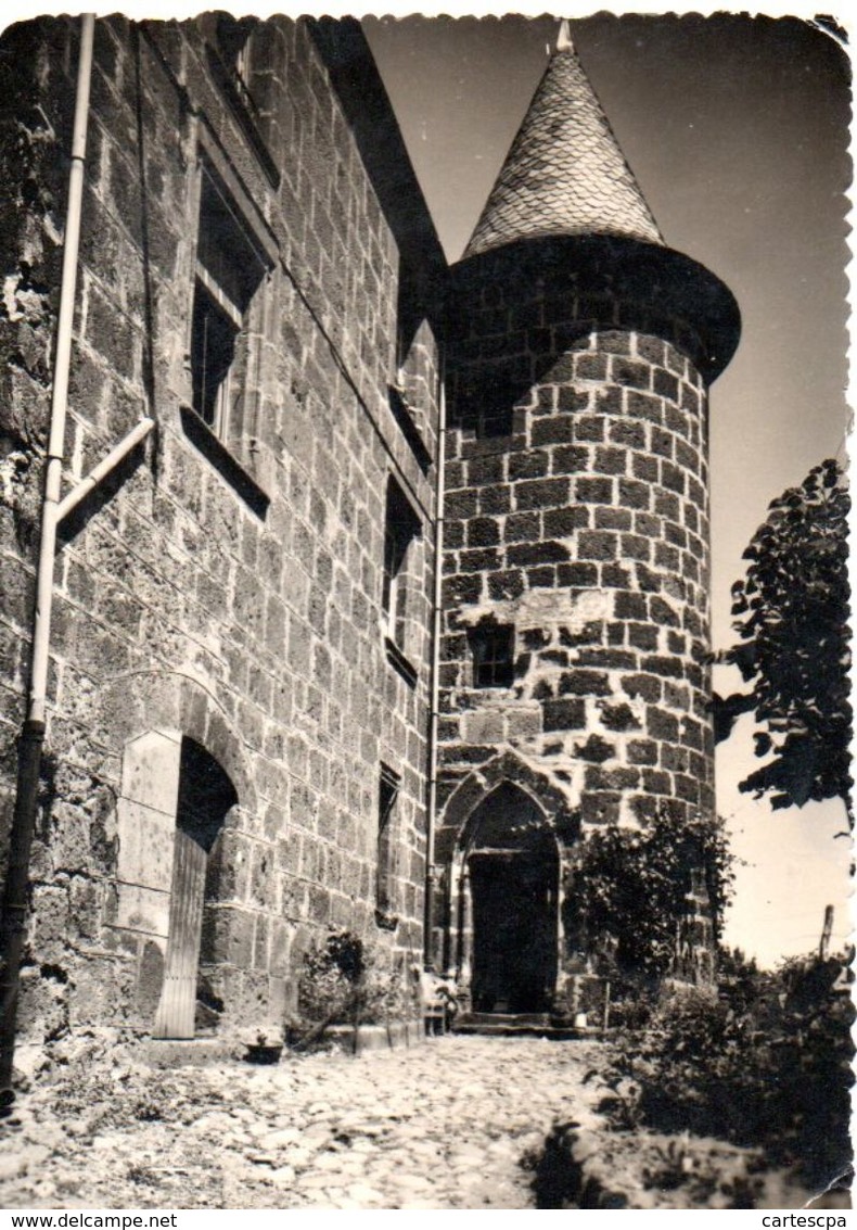 Saint Martin Valmeroux Chateau De Bezou 1950 CPM Ou CPSM - Other & Unclassified