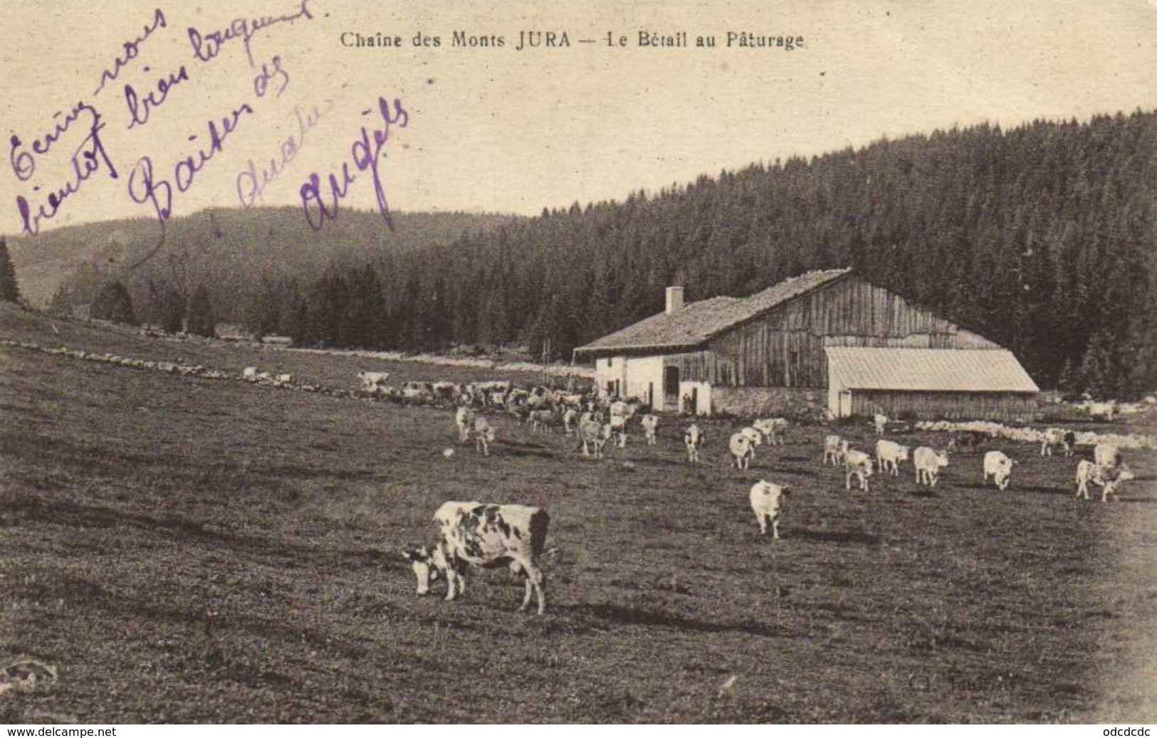 Chaine Des Monts JURA  Le Betail Au Paturage Recto Verso - Autres & Non Classés