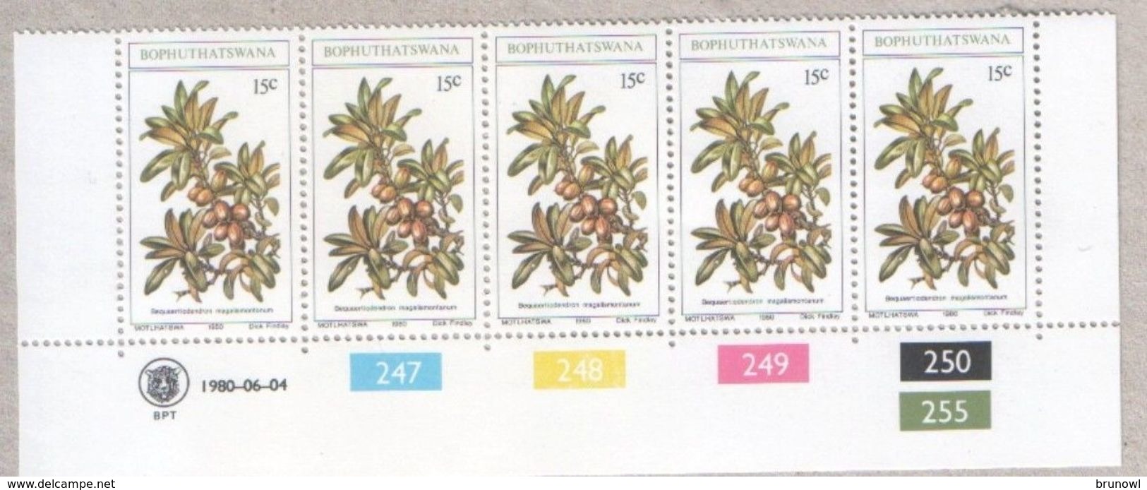 Bophuthatswana Blocks Of MNH Stamps 1980 Fruits - Bophuthatswana