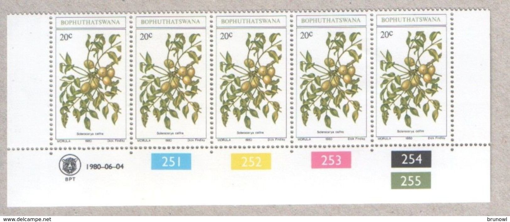 Bophuthatswana Blocks Of MNH Stamps 1980 Fruits - Bophuthatswana