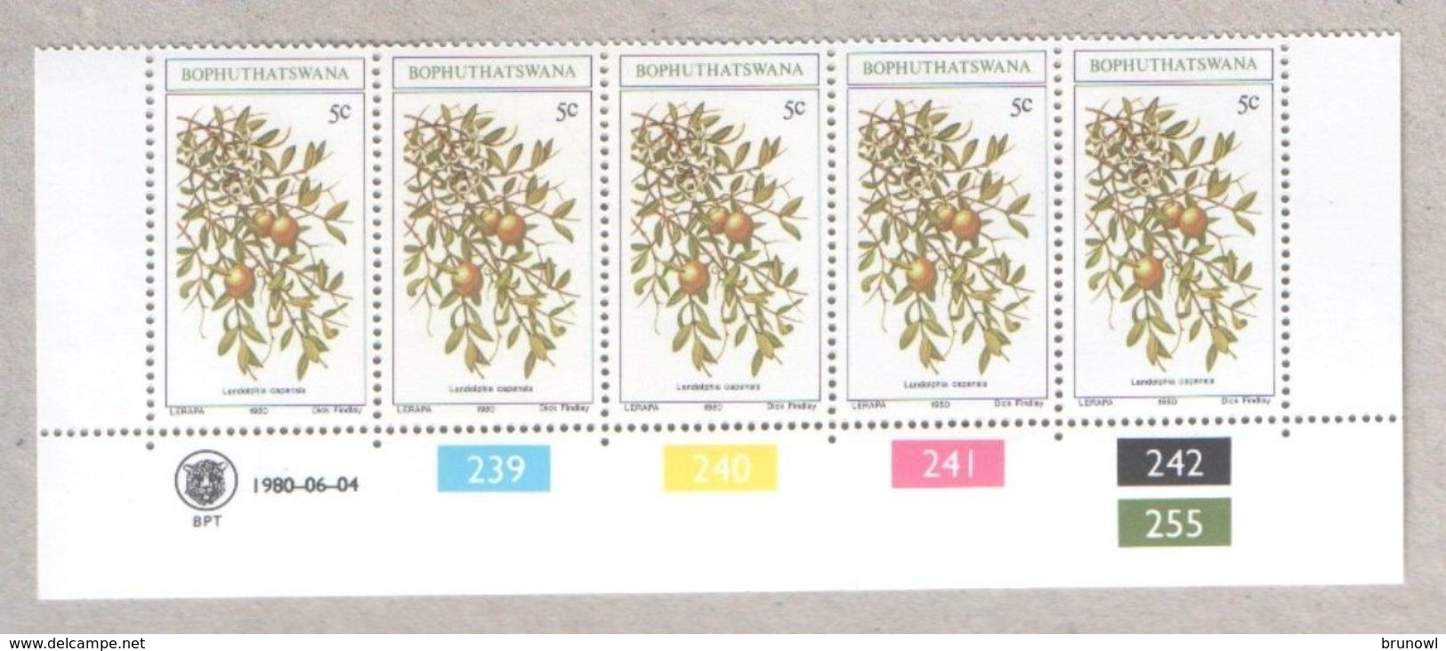 Bophuthatswana Blocks Of MNH Stamps 1980 Fruits - Bophuthatswana