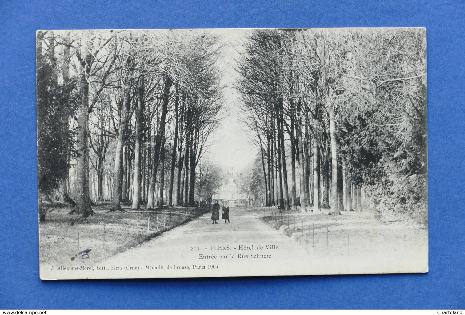 Cartolina Francia - Flers - Hotel De Ville - Entrée Par La Rue Schnetz - 1906 - Non Classificati