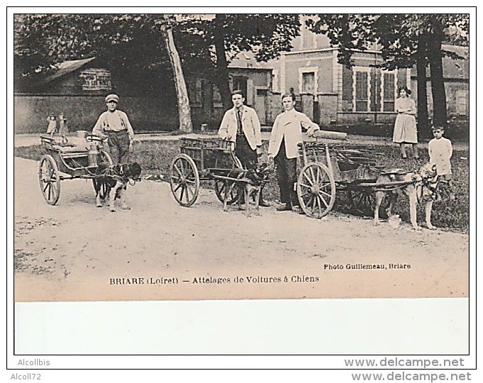 Briare-Attelages De Voitures à Chiens.Photo.Guillemeau. - Briare