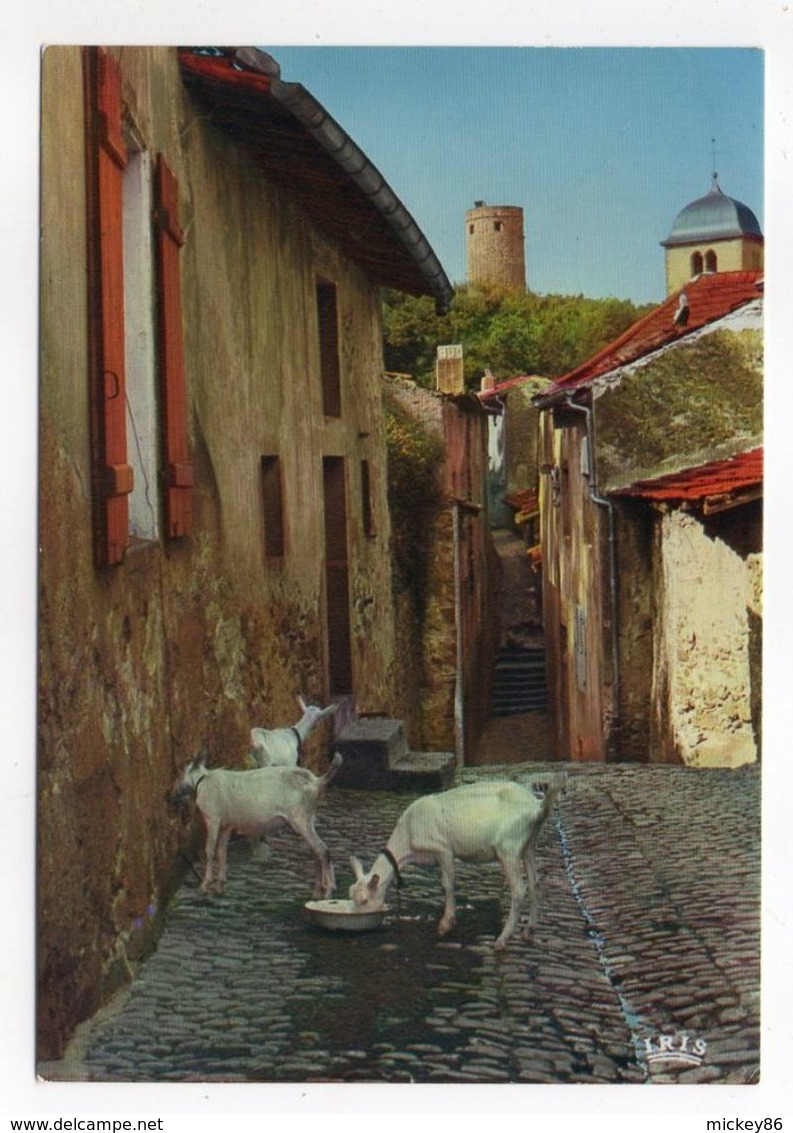 SIERCK-LES-BAINS--1993--Rue De St Christophe Et Tour Des Sorcières  (chèvres) - Autres & Non Classés