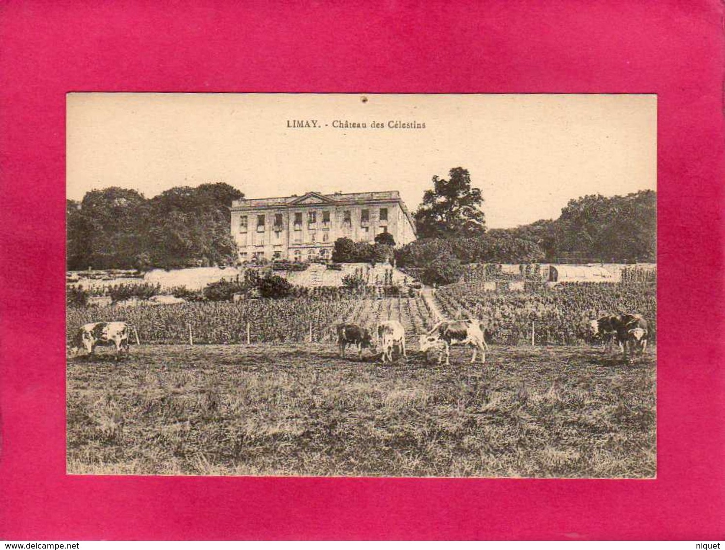 78 Yvelines, Limay, Château Des Celestins, Animée, Vaches, Vigne - Limay