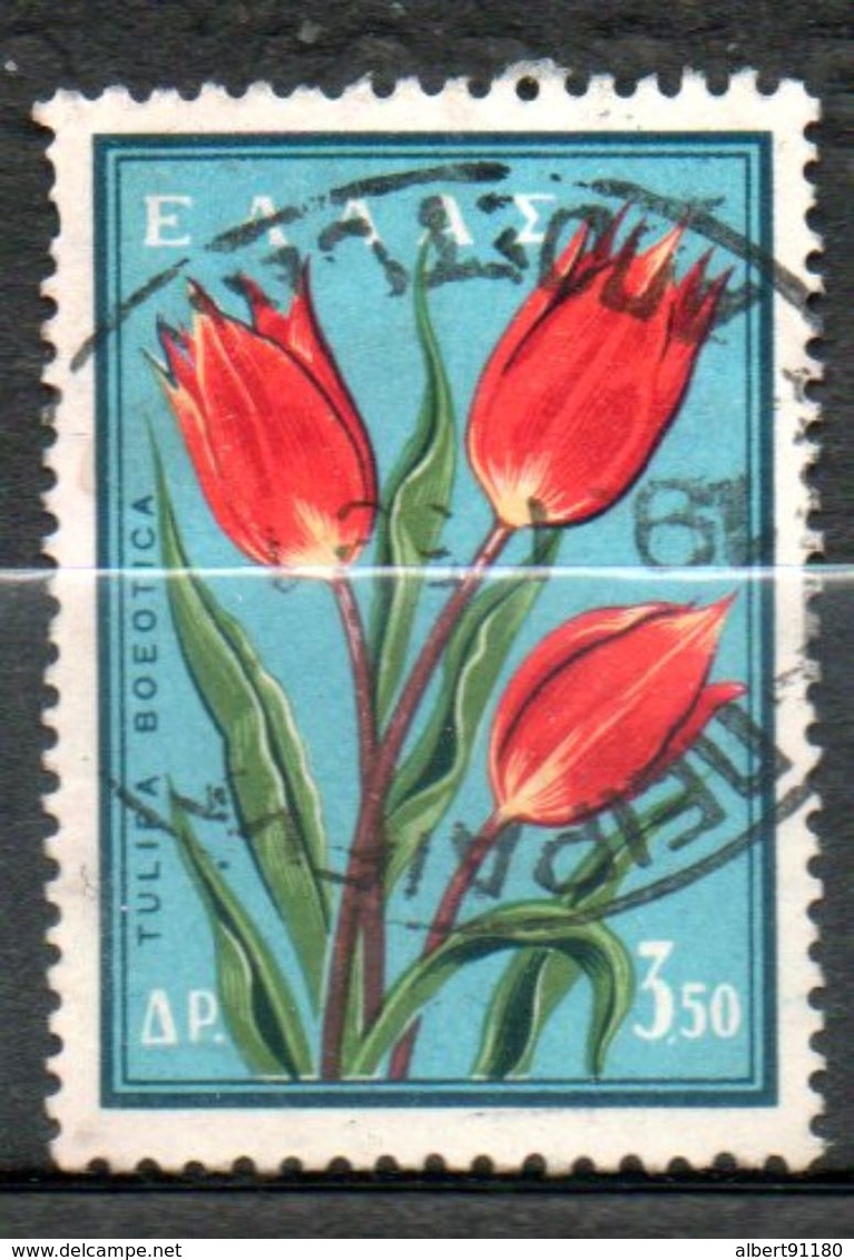 GRECE  Tulipe 1958 N°666 - Oblitérés