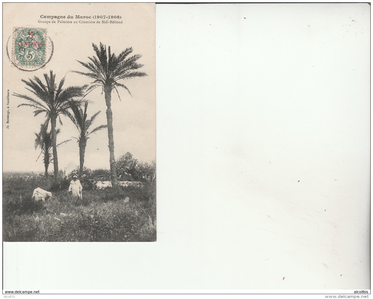 Campagne Du Maroc 1907-1908.Groupe De Palmiers Au Cimetière De Sidi Bélioud-Edit.Boussuge. - Other & Unclassified