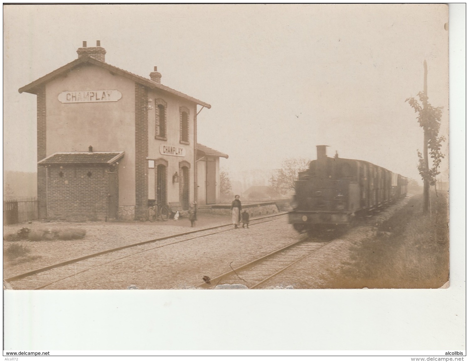 Carte Photo:Gare De Champlay. - Sonstige & Ohne Zuordnung