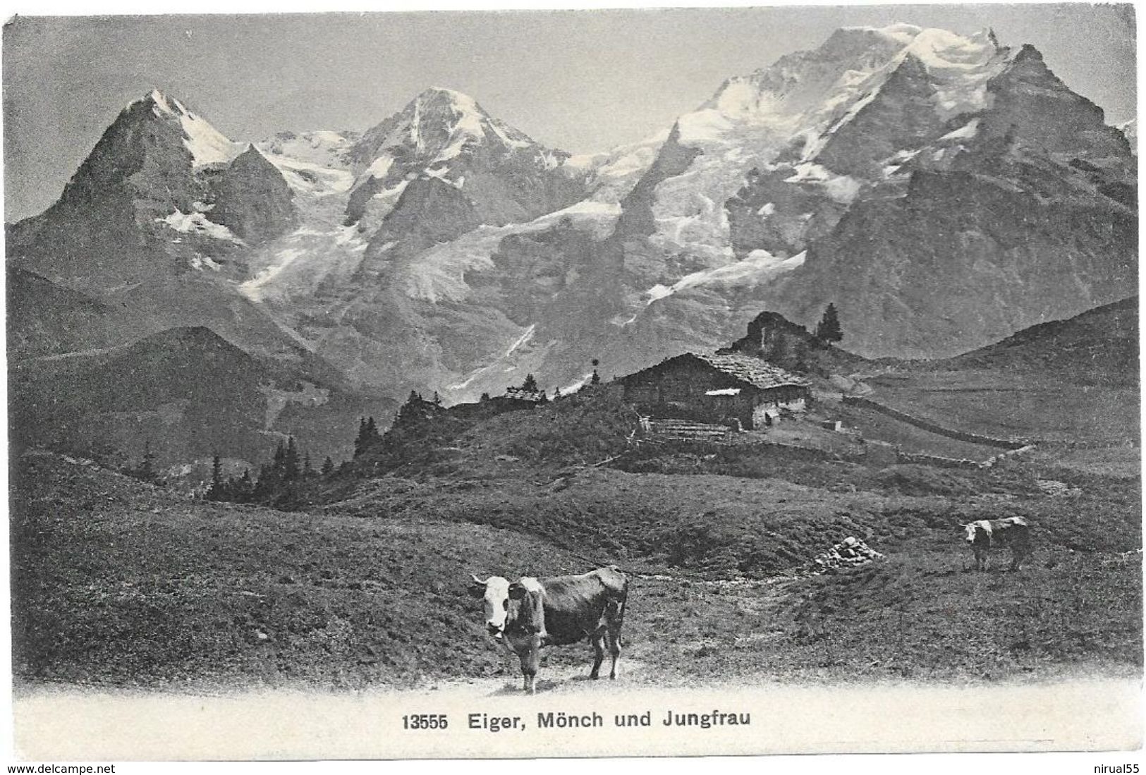 Suisse EIGER MONCH Und JUNFRAU Vache ..G - Mon