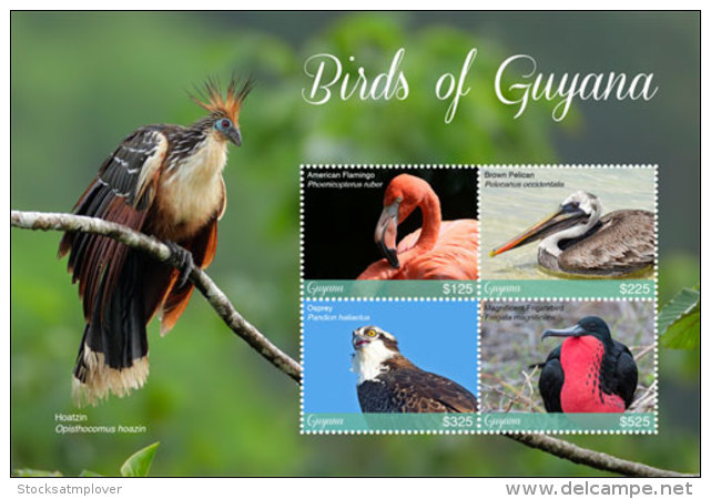 Guyana 2018 Birds Of Guyana I201803 - Guyana (1966-...)