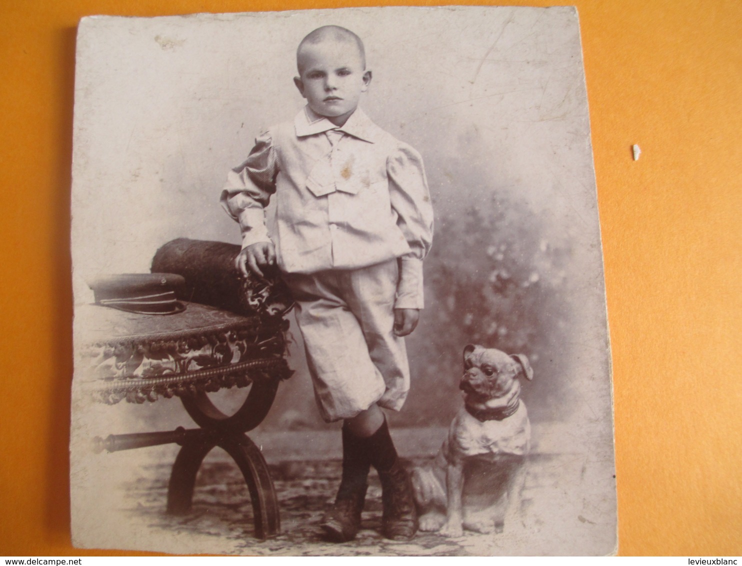 Photographie De Studio/Enfant De 9 Ans Debout Avec Chien Type Bulldog/Photo Prise En ARGENTINE/Vers 1880-1900   PHOTN326 - Anciennes (Av. 1900)