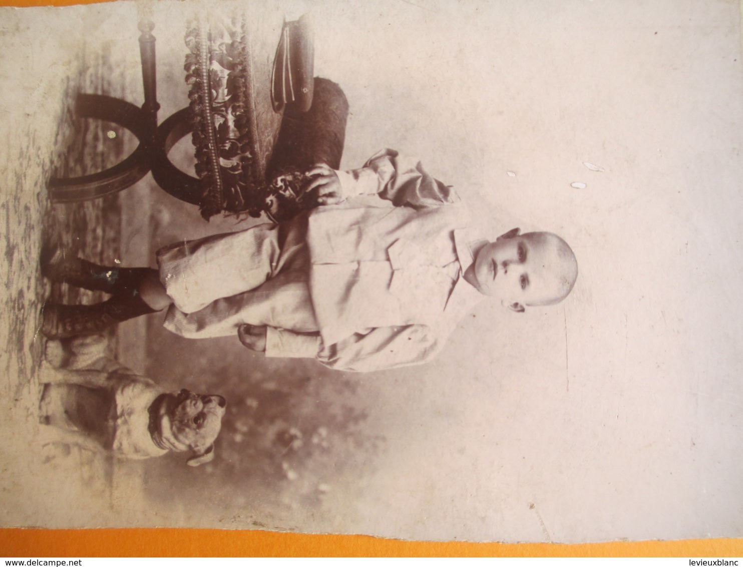 Photographie De Studio/Enfant De 9 Ans Debout Avec Chien Type Bulldog/Photo Prise En ARGENTINE/Vers 1880-1900   PHOTN327 - Anciennes (Av. 1900)