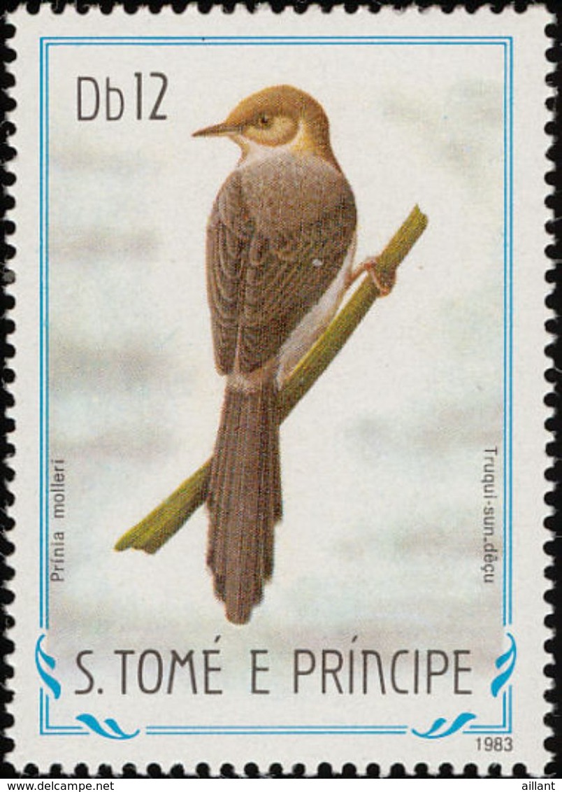 Sao Tome Et Principe 1983. Prinia De São Tomé .** - Songbirds & Tree Dwellers