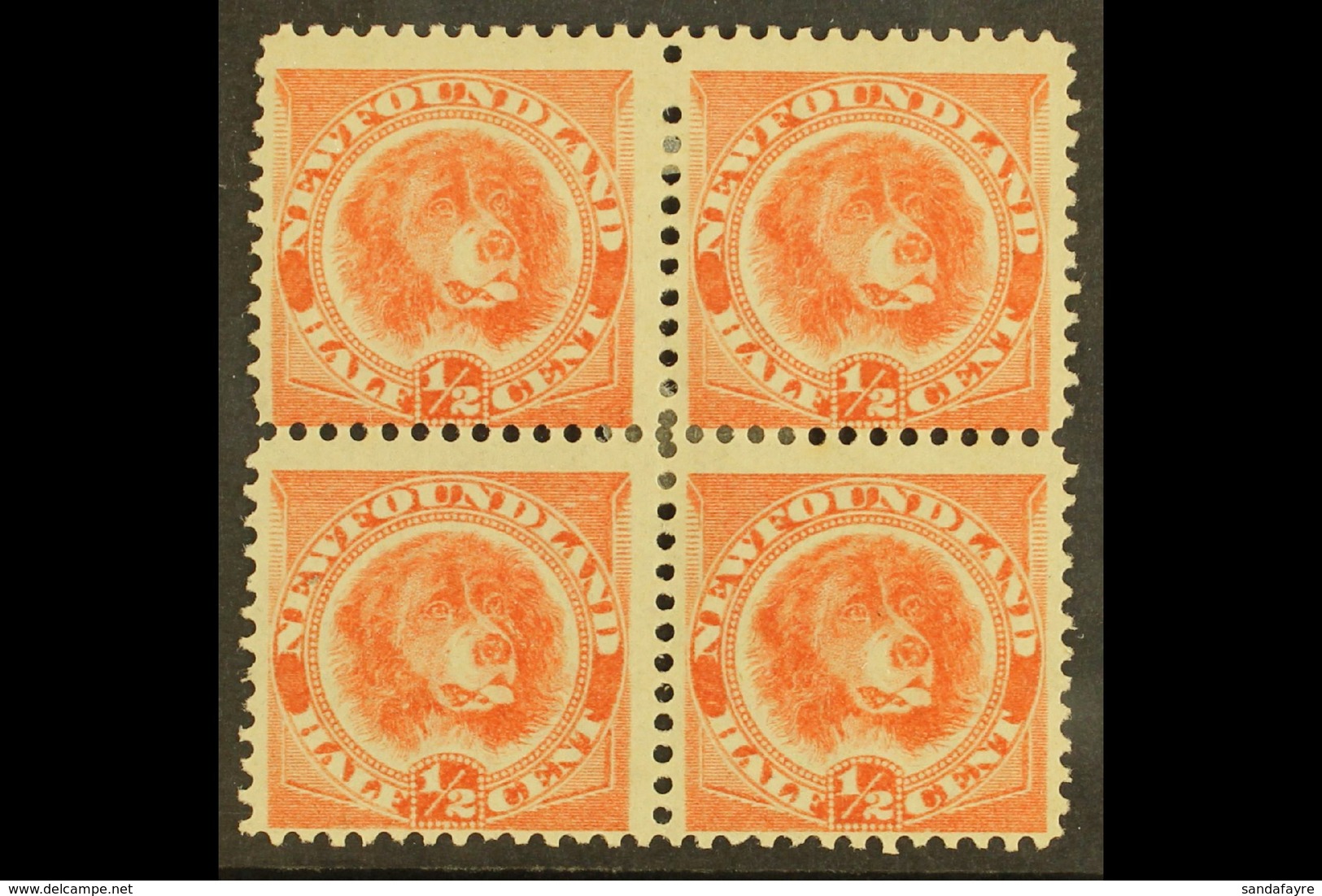1896 ½c Orange Vermilion, Newfoundland Dog, SG 62, Fine Mint Block Of 4. For More Images, Please Visit Http://www.sandaf - Other & Unclassified
