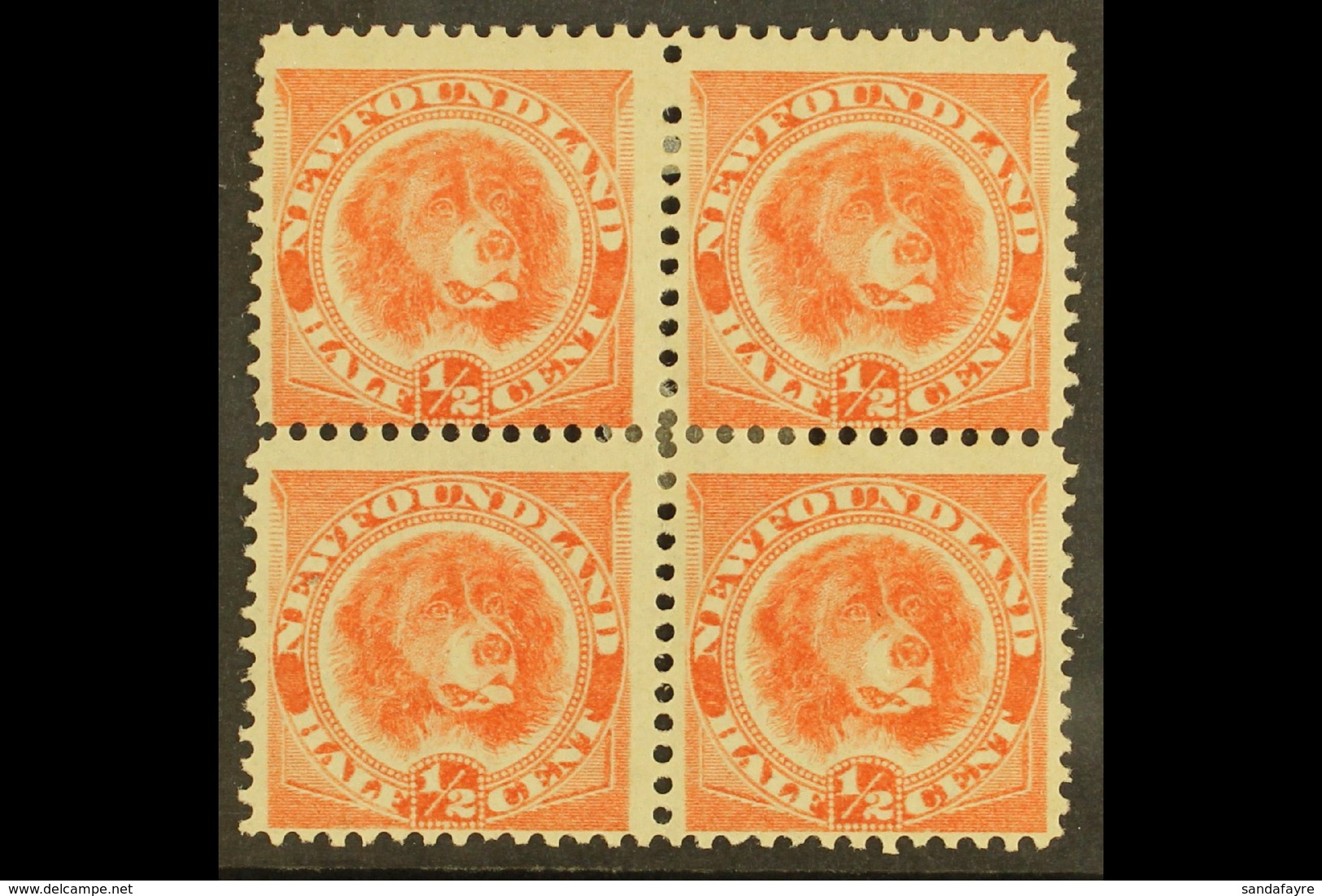 1896 ½c Orange Vermilion, Newfoundland Dog, SG 62, Fine Mint Block Of 4. For More Images, Please Visit Http://www.sandaf - Sonstige & Ohne Zuordnung