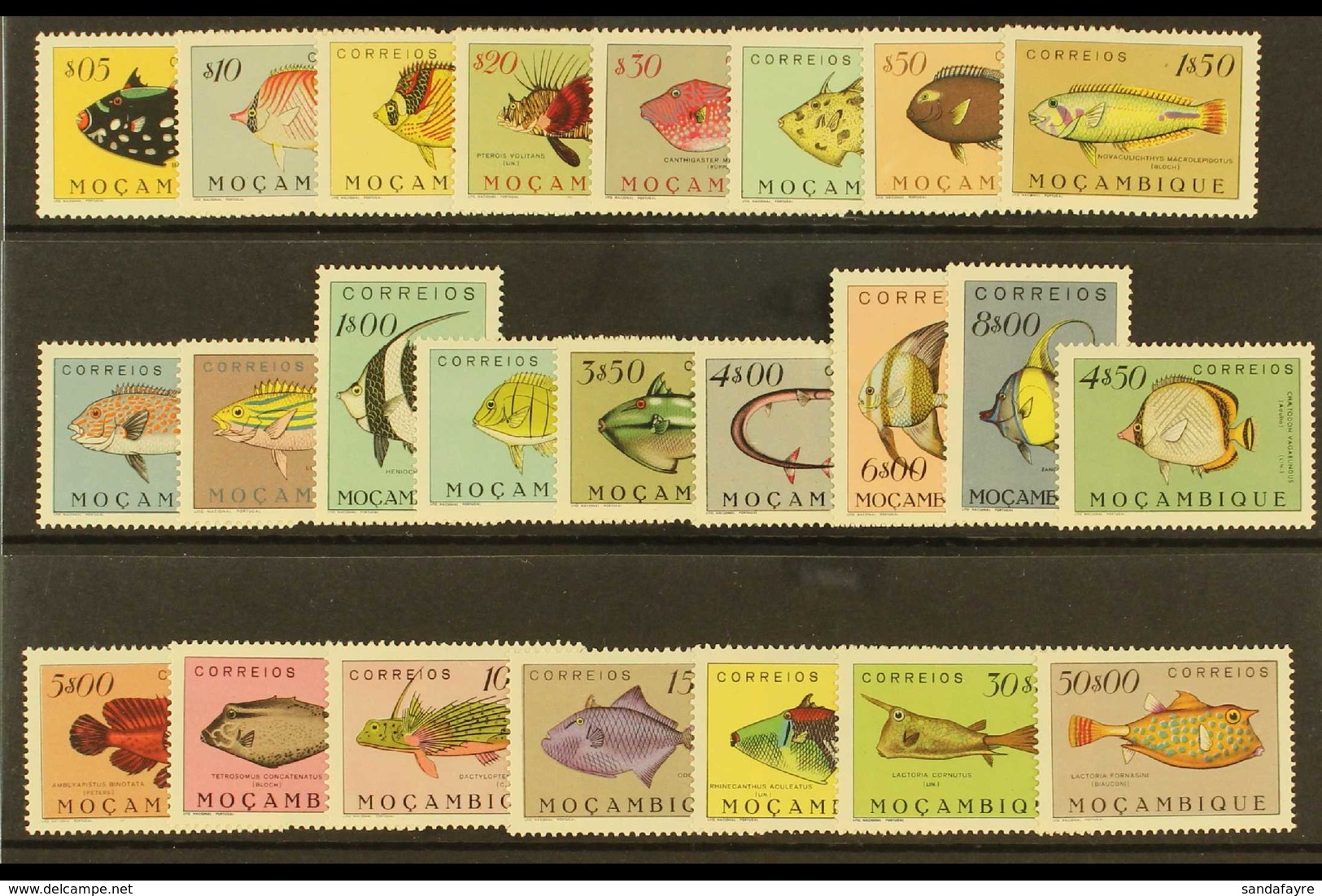 1951 Fishes Definitives Set, SG 440/63, Never Hinged Mint (24 Stamps). For More Images, Please Visit Http://www.sandafay - Mosambik