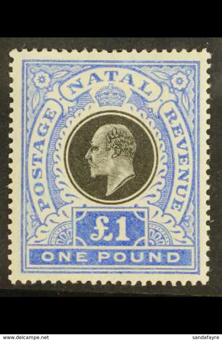 NATAL 1902 £1 Black And Bright Blue, SG 142, Very Fine Mint. For More Images, Please Visit Http://www.sandafayre.com/ite - Ohne Zuordnung