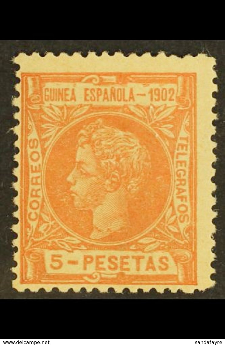 GUINEA 1902 5p Pale Red Top Value, SG 8 Or Edifil 8, Fine Mint, Centred To Lower Left. For More Images, Please Visit Htt - Sonstige & Ohne Zuordnung